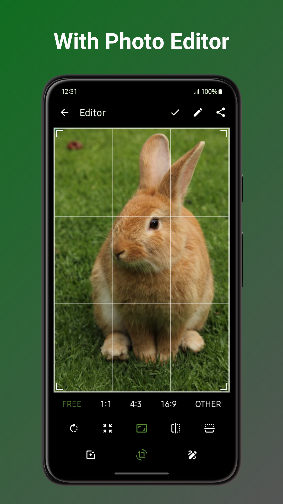 Photo editor screen in Fossify Gallery