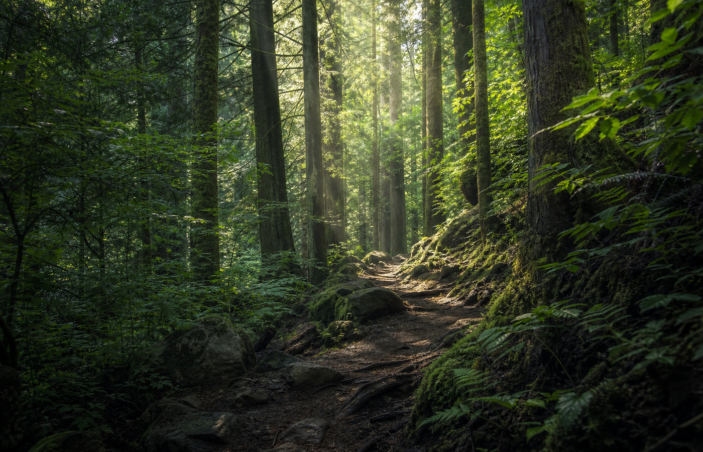 Generated forest scene sample.