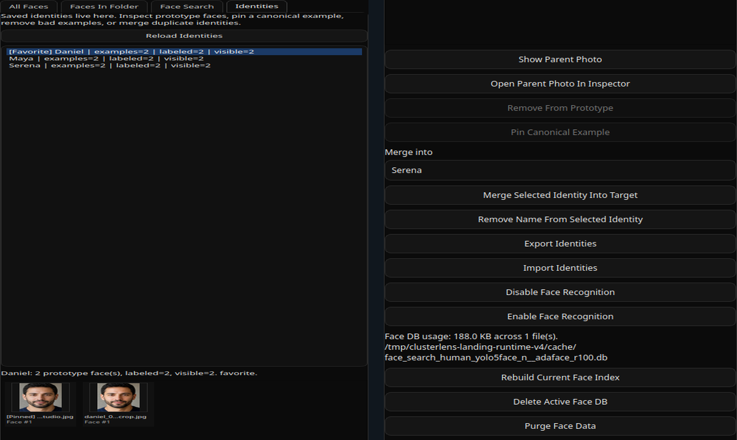 ClusterLens identities workspace showing saved identity rows, prototype face tiles, merge actions, export and import controls, and face database maintenance buttons.